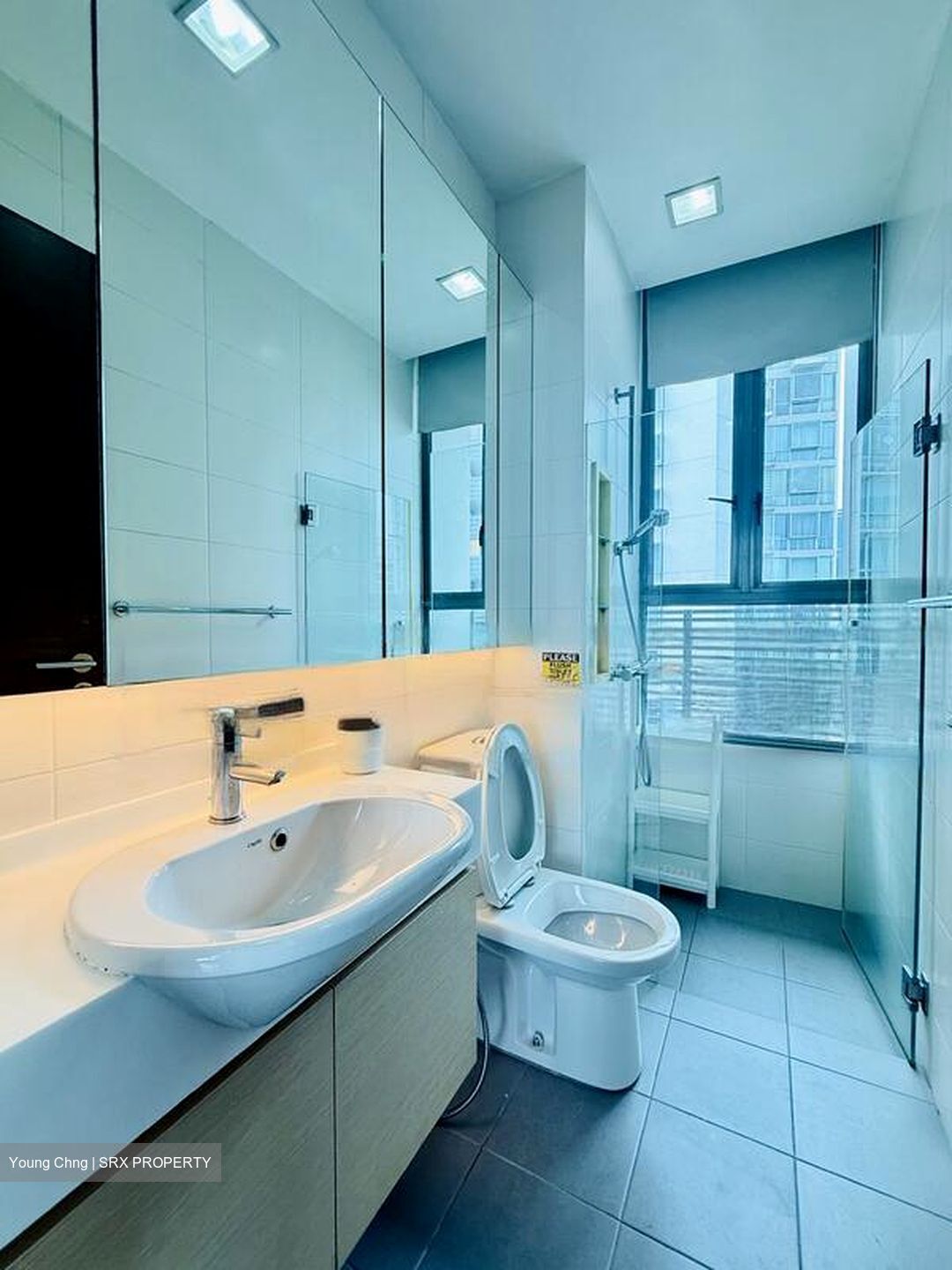 Suffolk Premier (D11), Apartment #464200641